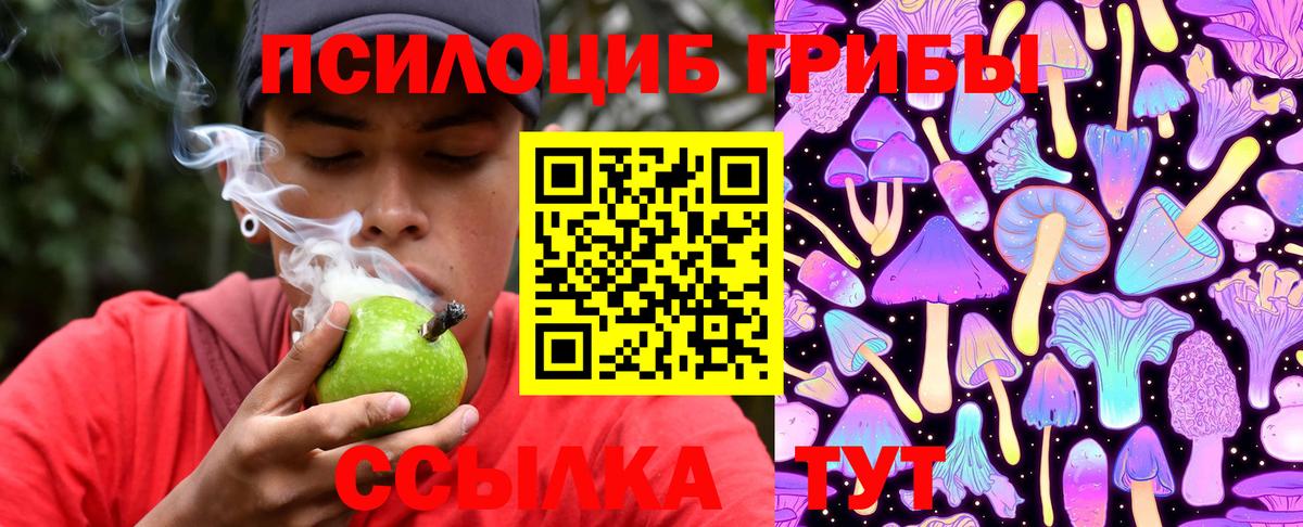 Галлюциногенные грибы ЛСД  даркнет сайт  Сунжа  Вход с VPN 